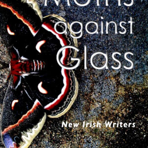 Moths against Glass